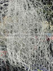 bird spikes installation service in kathmandu :9849939242