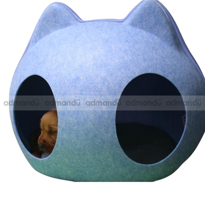 Golden Retriever Male puppy in Kathmandu 