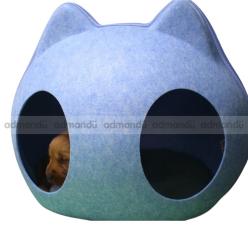 Golden Retriever Male puppy in Kathmandu 