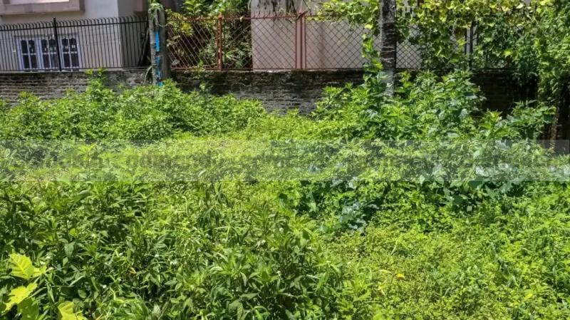 Land On Sale At Basundhara