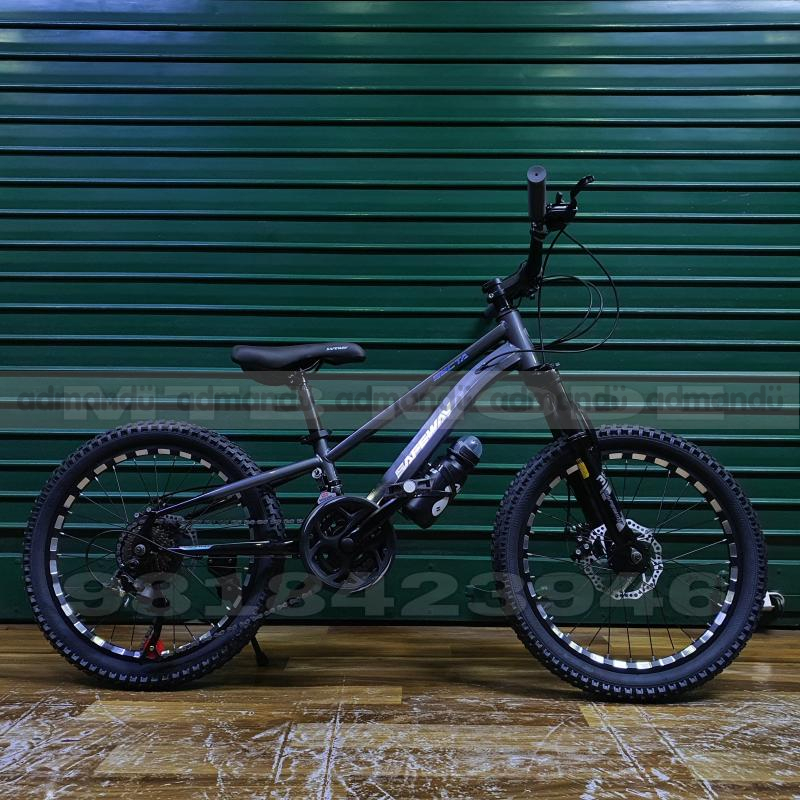 20' Inch Wheel Safeway Mountain Bike 