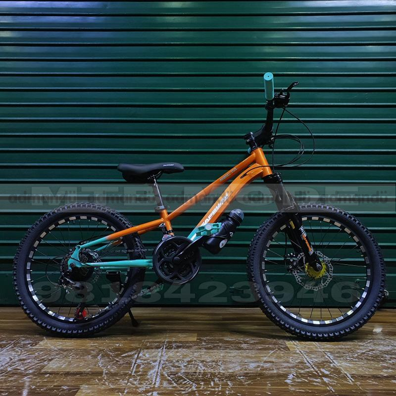 20' Inch Wheel Safeway Mountain Bike 