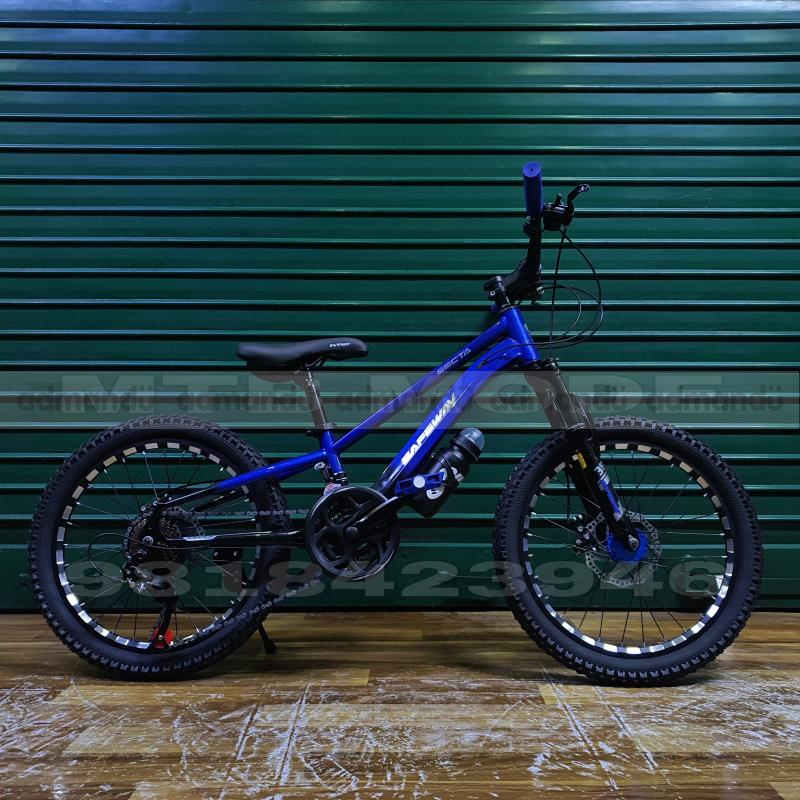 20' Inch Wheel Safeway Mountain Bike 