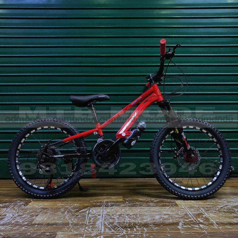 20' Inch Wheel Safeway Mountain Bike 