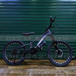 20' Inch Wheel Safeway Mountain Bike 
