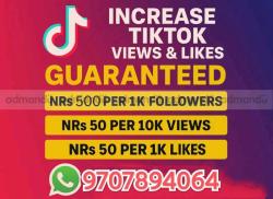 tiktok boost