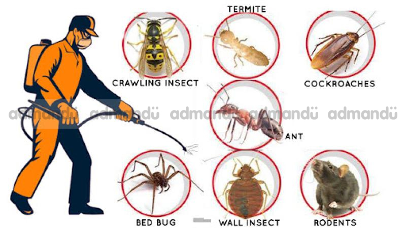 pest control service in Lalitpur Nepal:9849939242