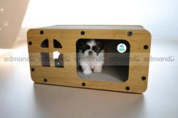 Pure Breed Shih-Tzu puppies in kathmandu 