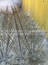 bird spikes installation service kathmandu 