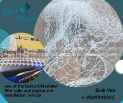 Bird spikes installation service in kathmandu