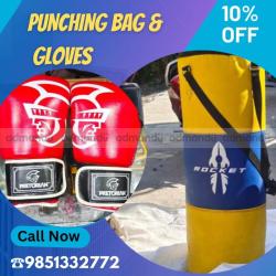 Punching bags & gloves 
