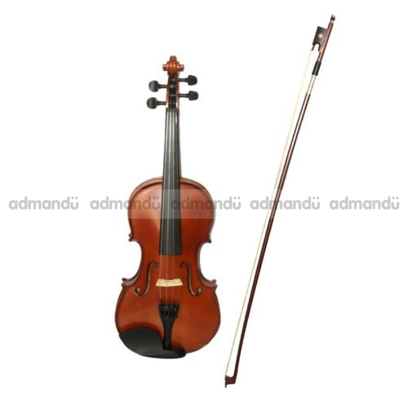Artist Violin