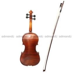 Artist Violin