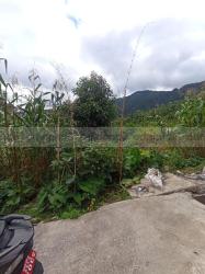 Land On Sale At Budhanilkantha