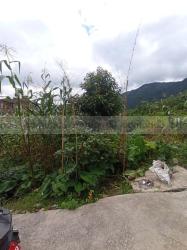 Land On Sale At Budhanilkantha