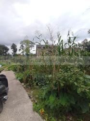 Land On Sale At Budhanilkantha