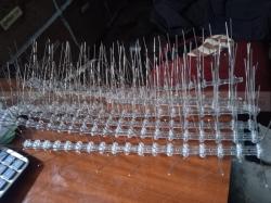 Pigeon net (jali) and Bird spikes fitting Kathmandu:98499392