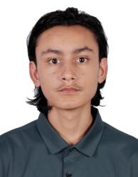 bisheshsubedi1@gmail.com