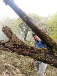 Sannish Maharjan